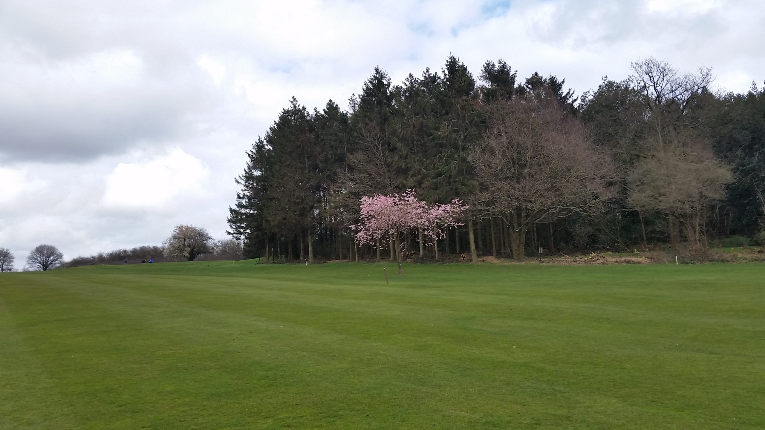 Redbourn (March 2020) The Inches Golf Society